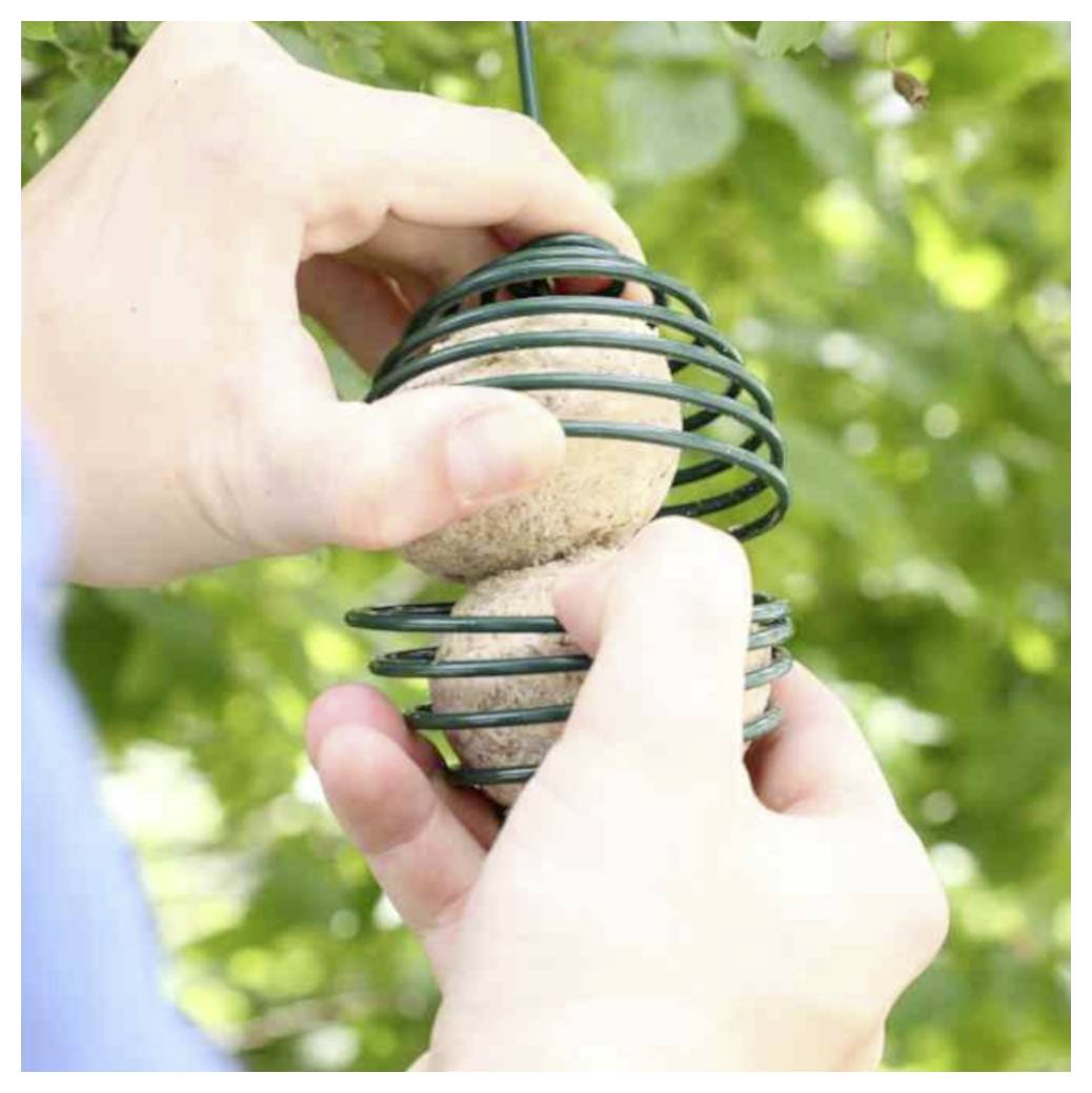 Hände legen runde Vogelfutterkugeln in einen grünen Drahthalter, mit grünem Laub im Hintergrund.