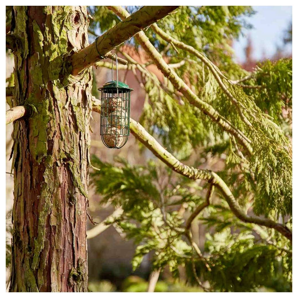 Ein Vogelfutterhaus hängt von einem Ast eines großen Baumes, umgeben von Laub. Sonnenlicht filtert hindurch und schafft eine friedliche Outdoor-Szene.