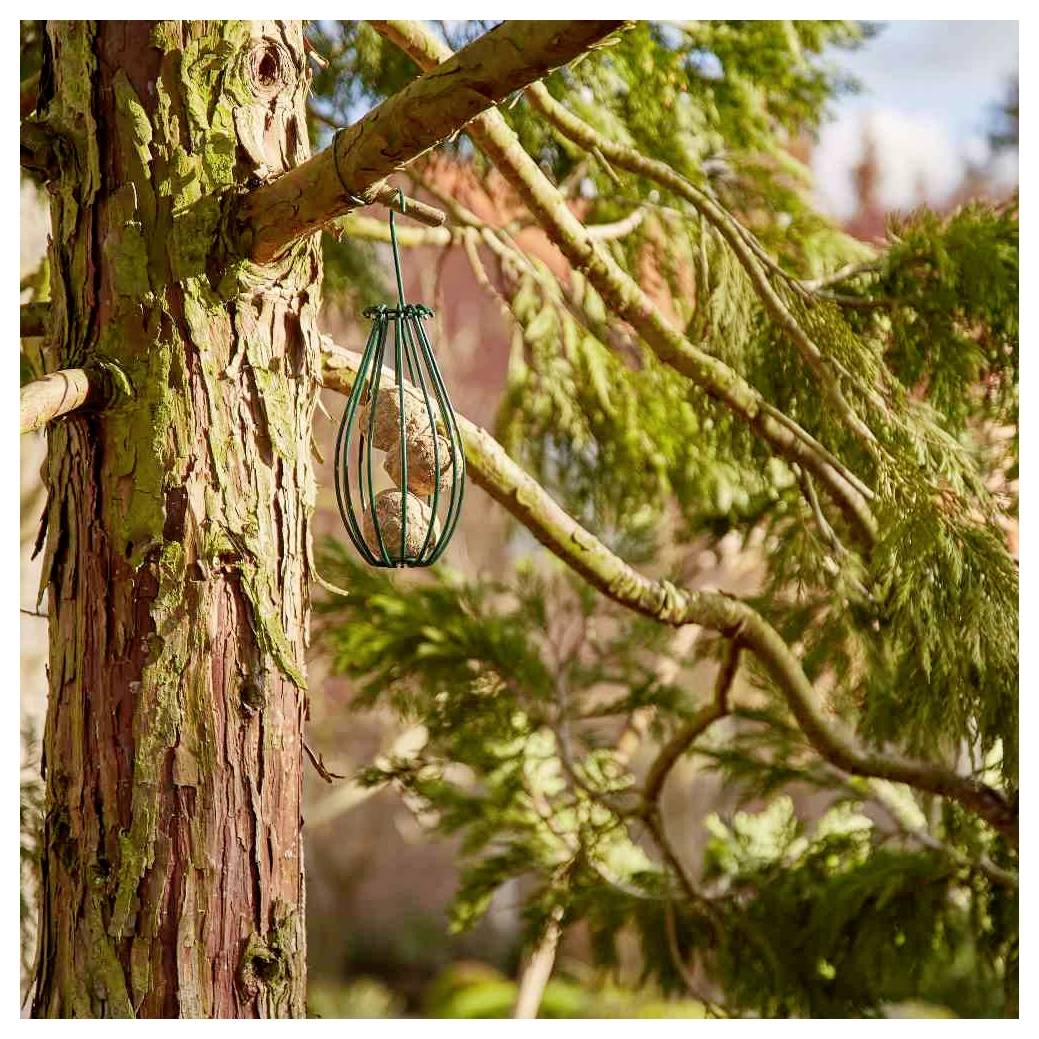 Vogelfutterhaus, das an einem Baumast hängt, umgeben von grünem Laub. Helles Sonnenlicht hebt die strukturierte Rinde und Blätter hervor.