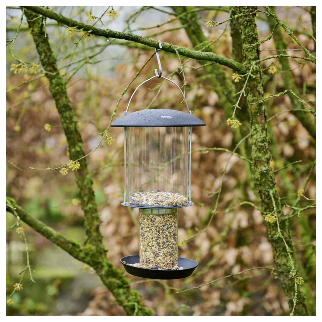Ein hängender Vogelfutterautomat gefüllt mit Samen ist an einem Ast befestigt, umgeben von moosigen Ästen und getrockneten Blättern in einer natürlichen Umgebung.