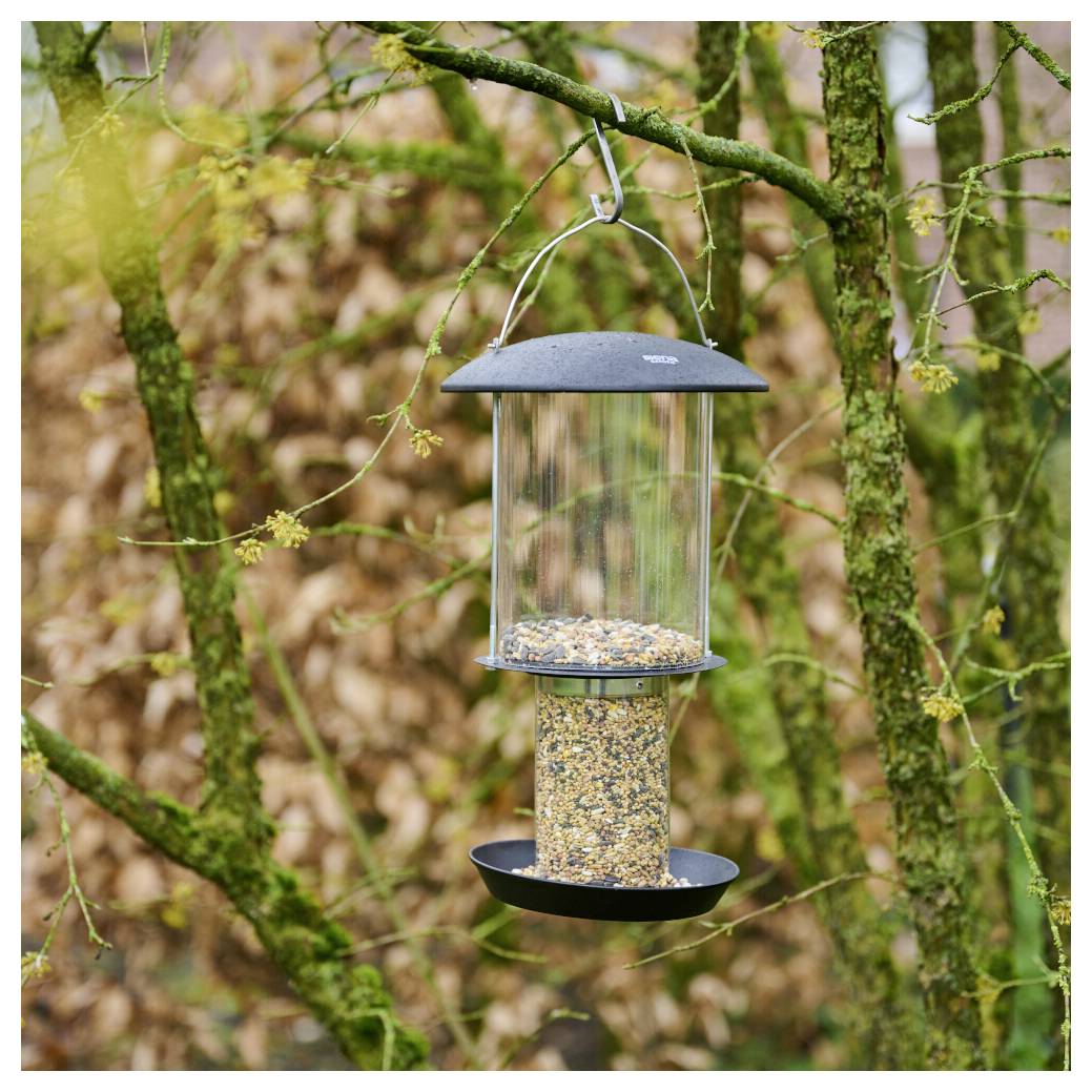 Ein Vogelfutterhaus gefüllt mit gemischten Samen hängt an einem Baumast in einer Gartenumgebung.