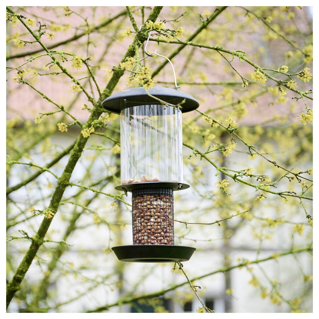 Ein Vogelfutterhaus hängt von einem Baumast herab, gefüllt mit Samen, vor einem Hintergrund blühender Äste.