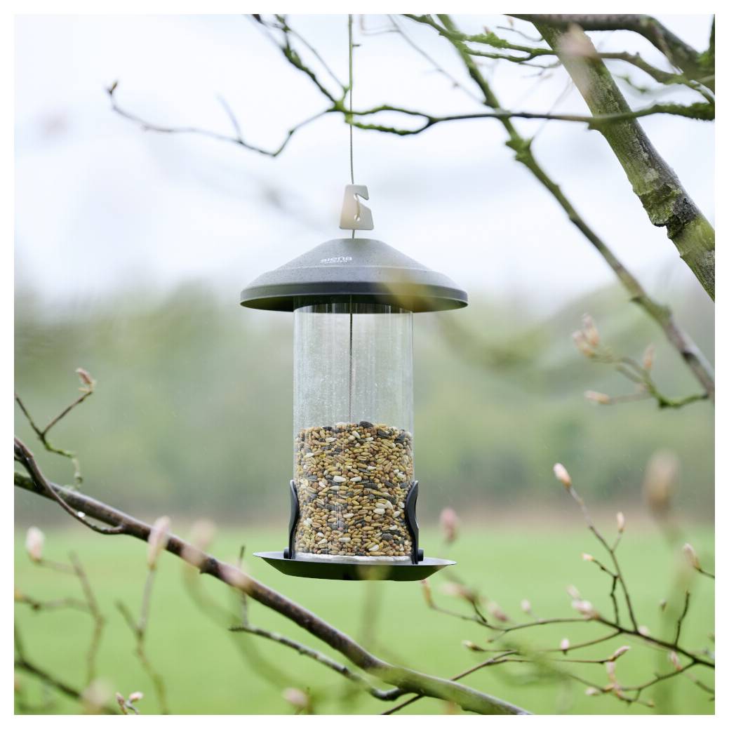 Ein Vogelfutterhaus gefüllt mit gemischten Sämereien hängt von einem Baumast im Freien, vor einem unscharfen Hintergrund aus Grünflächen und bewölktem Himmel.