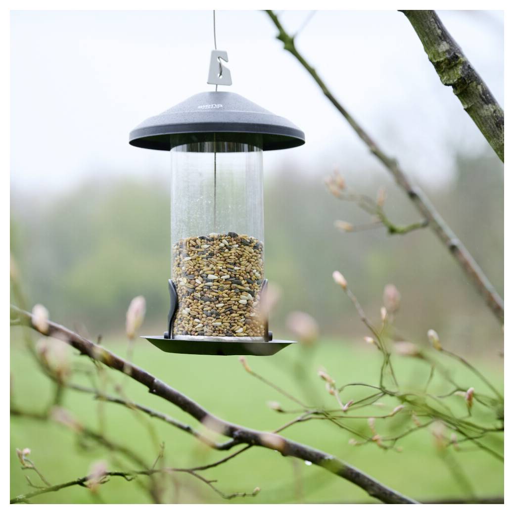 Ein Vogelfutterhaus, gefüllt mit gemischten Samen, hängt an einem Ast eines Baumes in einem Garten, umgeben von knospen tragenden Pflanzen und bewölktem Himmel.