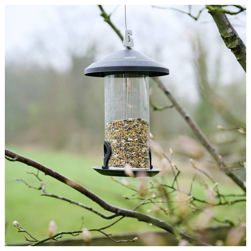 Ein mit Samen gefülltes Vogelfutterhaus hängt an einem kahlen Baumast in einer Gartenumgebung, mit einem unscharfen Hintergrund aus Grün.