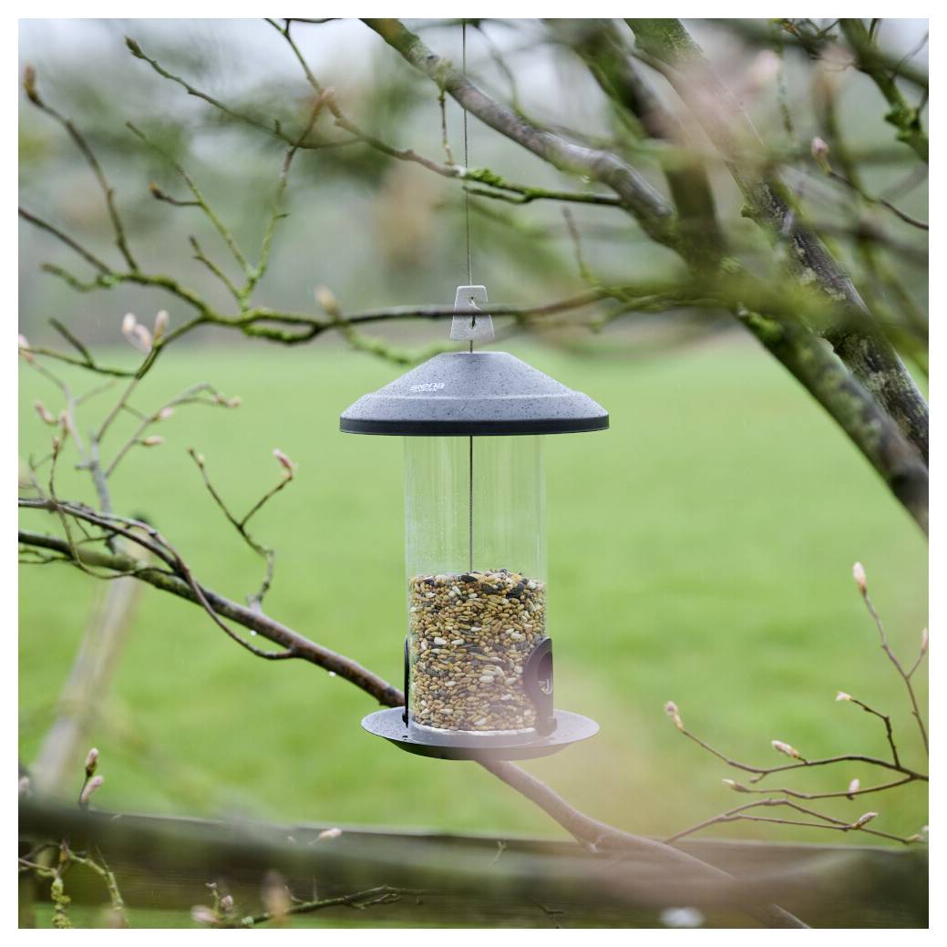Ein hängender Vogelfutterautomaten gefüllt mit gemischten Samen ist an einem Baumast befestigt, mit unscharfem Grün im Hintergrund.