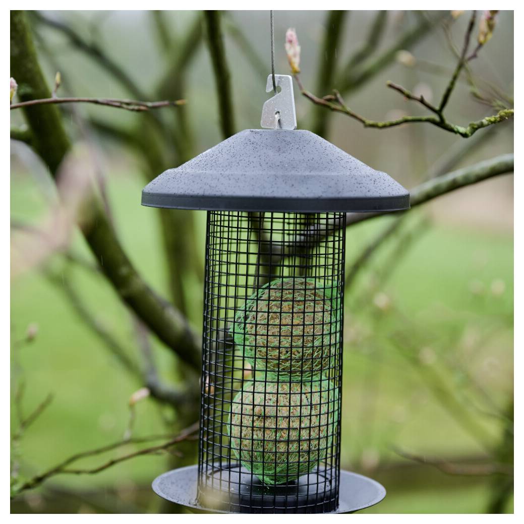 Ein Vogelfutterhaus hängt an einem Ast, der zwei große Kugeln aus Vogelfutter enthält. Der Hintergrund zeigt unscharfes Grün und Äste.