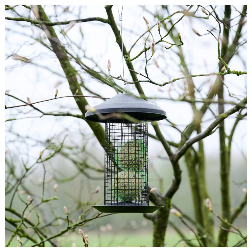Ein Vogelfutterhaus hängt an einem Baum und enthält sichtbare Samen in einem Metallkäfig. Die Baumäste zeigen frühe Knospen, was auf den Frühling hindeutet.