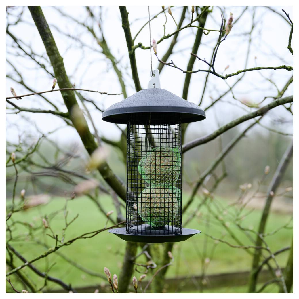 Ein Vogelfutter mit Talgballen hängt an einem Baumast, umgeben von sprießenden Ästen in einer natürlichen Außenumgebung.