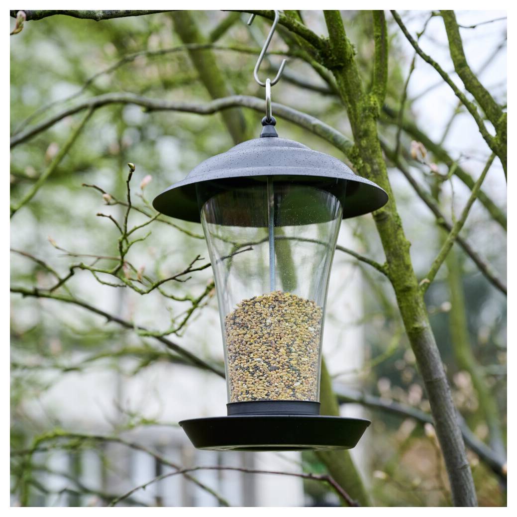 Ein Vogelfutterhaus, das an einem Baumast hängt, gefüllt mit gemischten Samen, umgeben von kahlen Ästen.