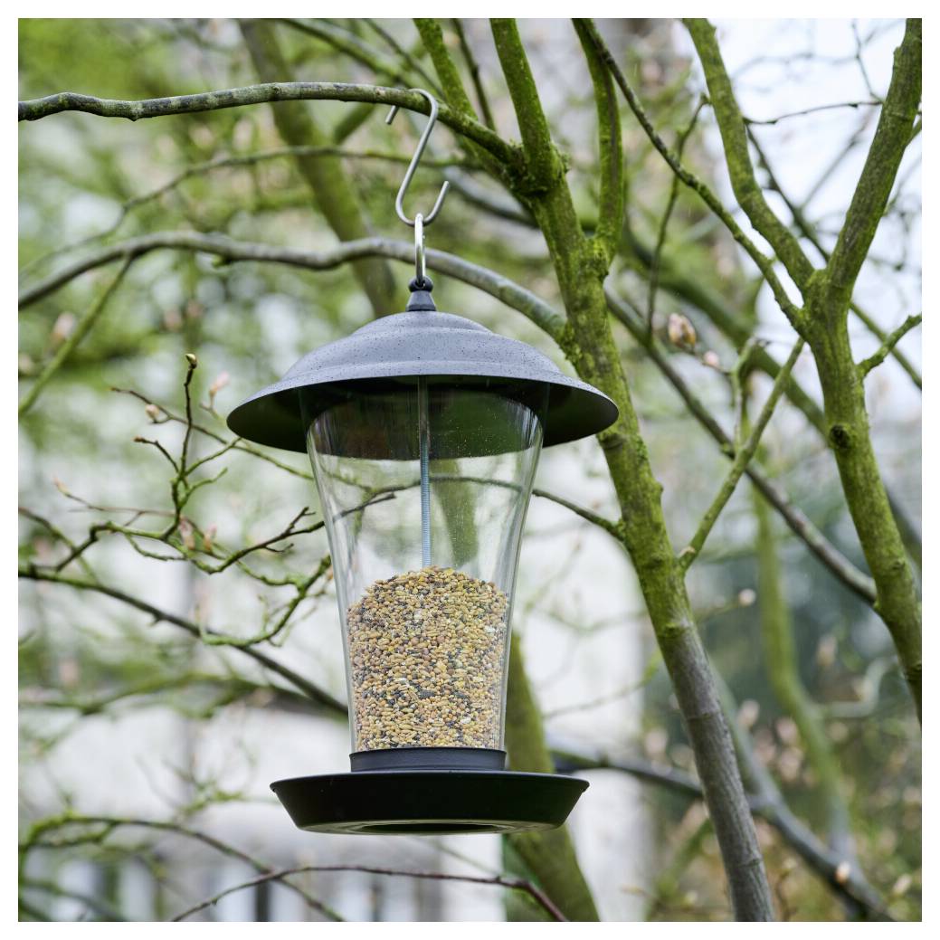 Ein mit Samen gefülltes Vogelfutterhaus hängt an einem Baumast und ist bereit, Vögel in einer Gartenumgebung anzulocken.