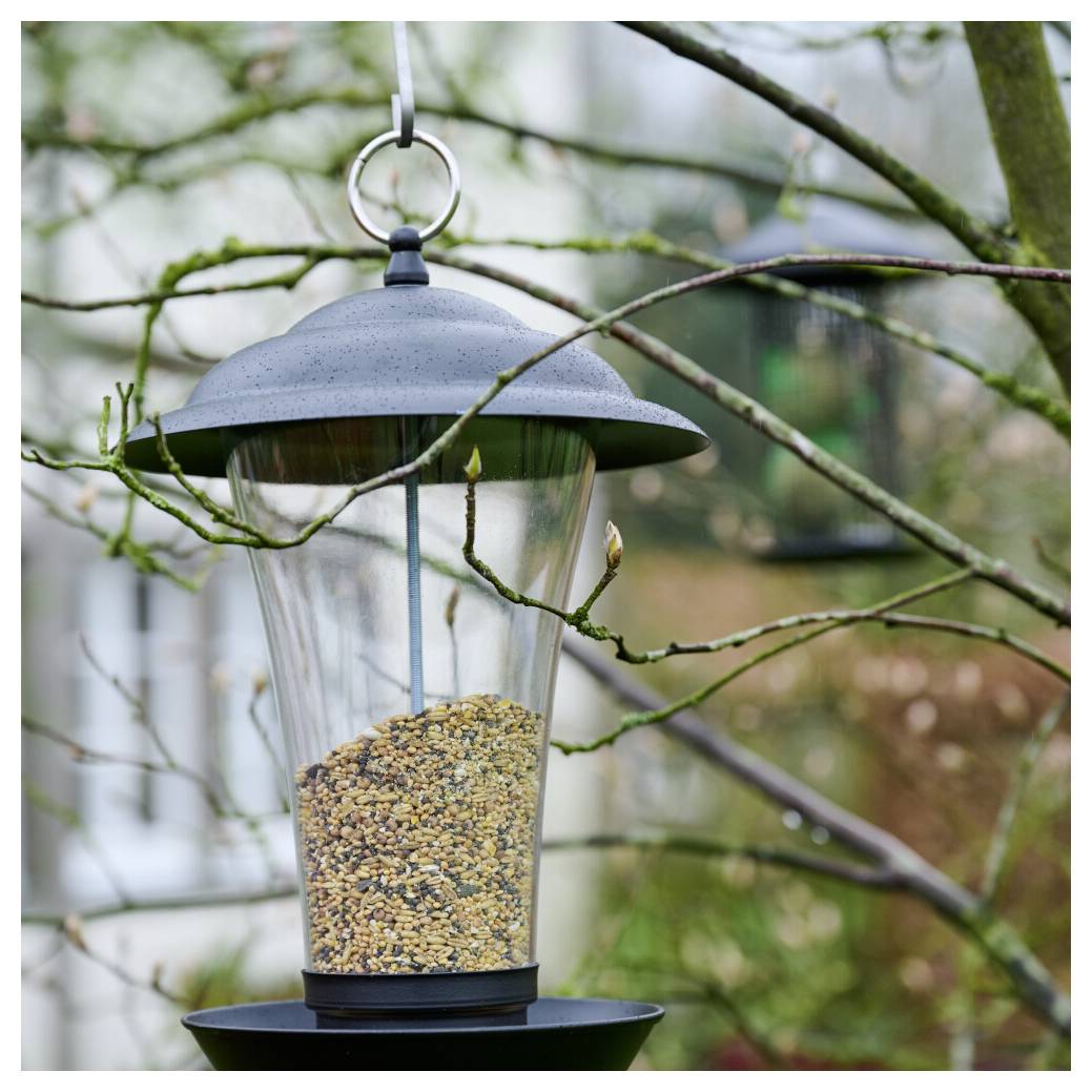Ein mit Samen gefülltes Vogelfutterhaus hängt an einem Baumast, umgeben von unscharfen Ästen und grüner Natur im Freien.