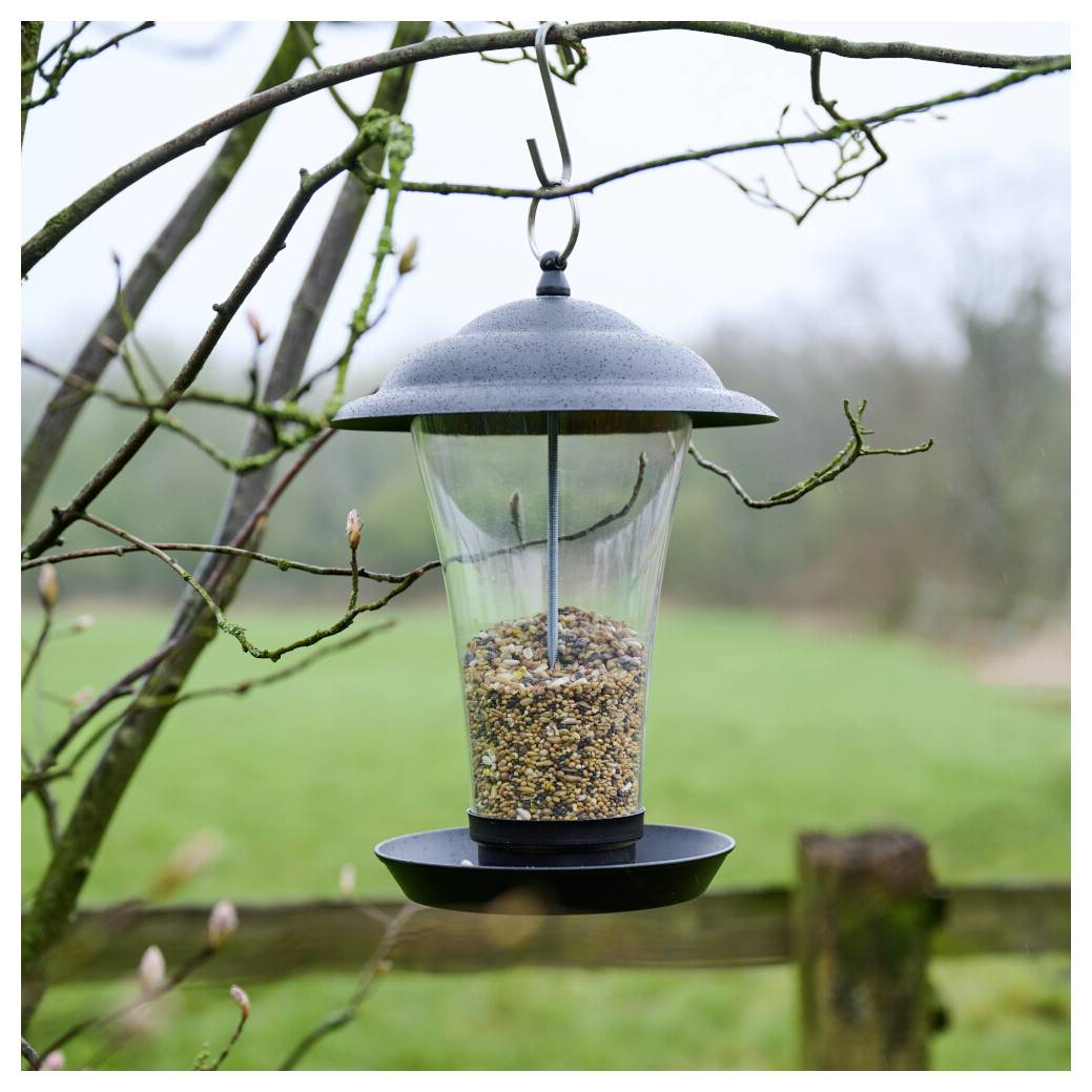 Ein Vogelhäuschen mit Samen, das von einem Ast in einem Garten hängt, mit unscharfem Hintergrund aus Gras und Bäumen.