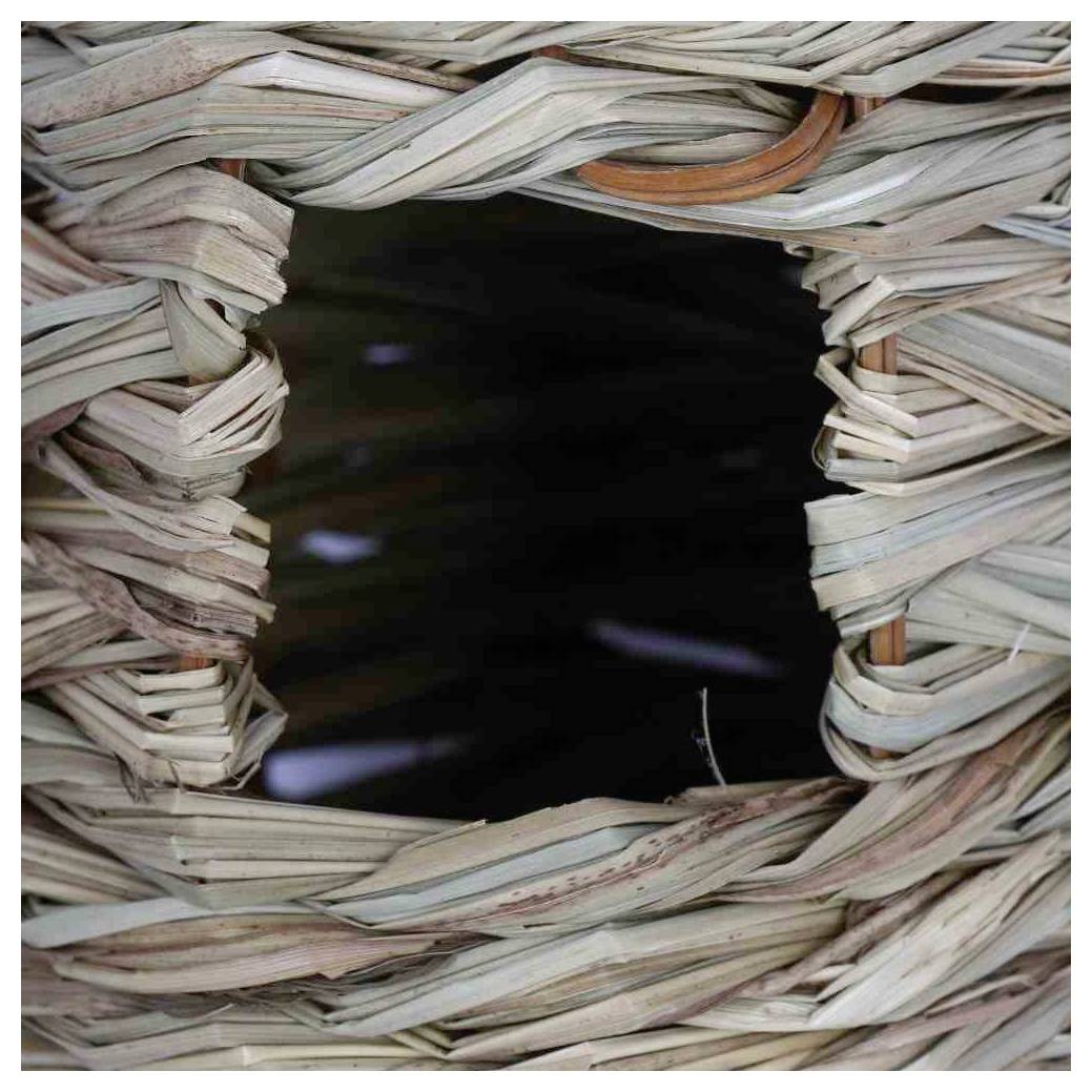 Eine Nahaufnahme einer gewebten Korbfläche mit einer unregelmäßigen quadratischen Öffnung, die die komplexe Textur und das Muster der verflochtenen Fasern zur Schau stellt.