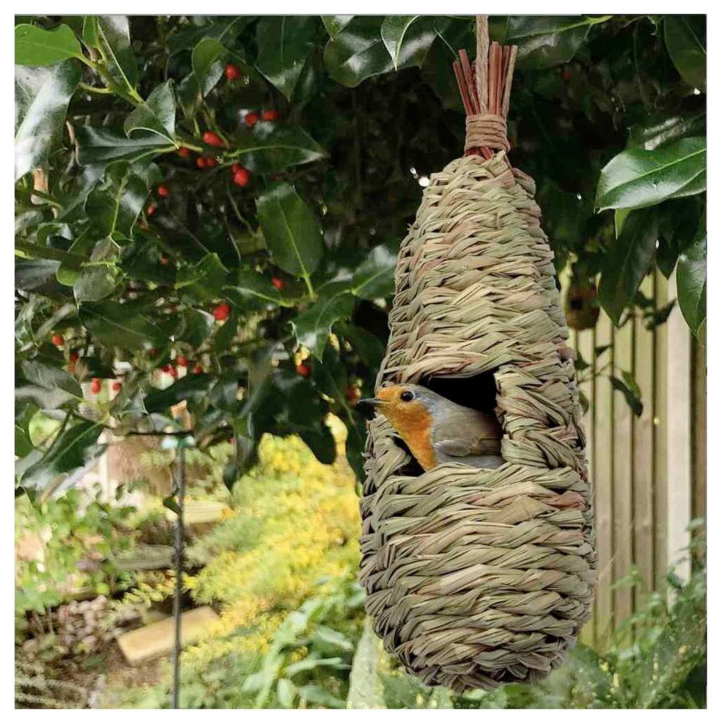 Ein kleiner Vogel mit orangefarbiger Brust schaut aus einem geflochtenen Hängenest in einem Garten mit grünem Laub und roten Beeren hervor.