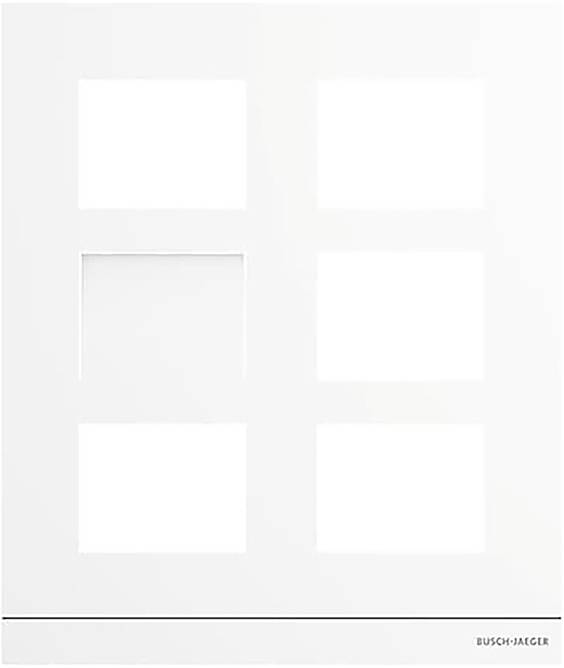 Busch-Jaeger 2TMA220160W0012 Frontplatte
