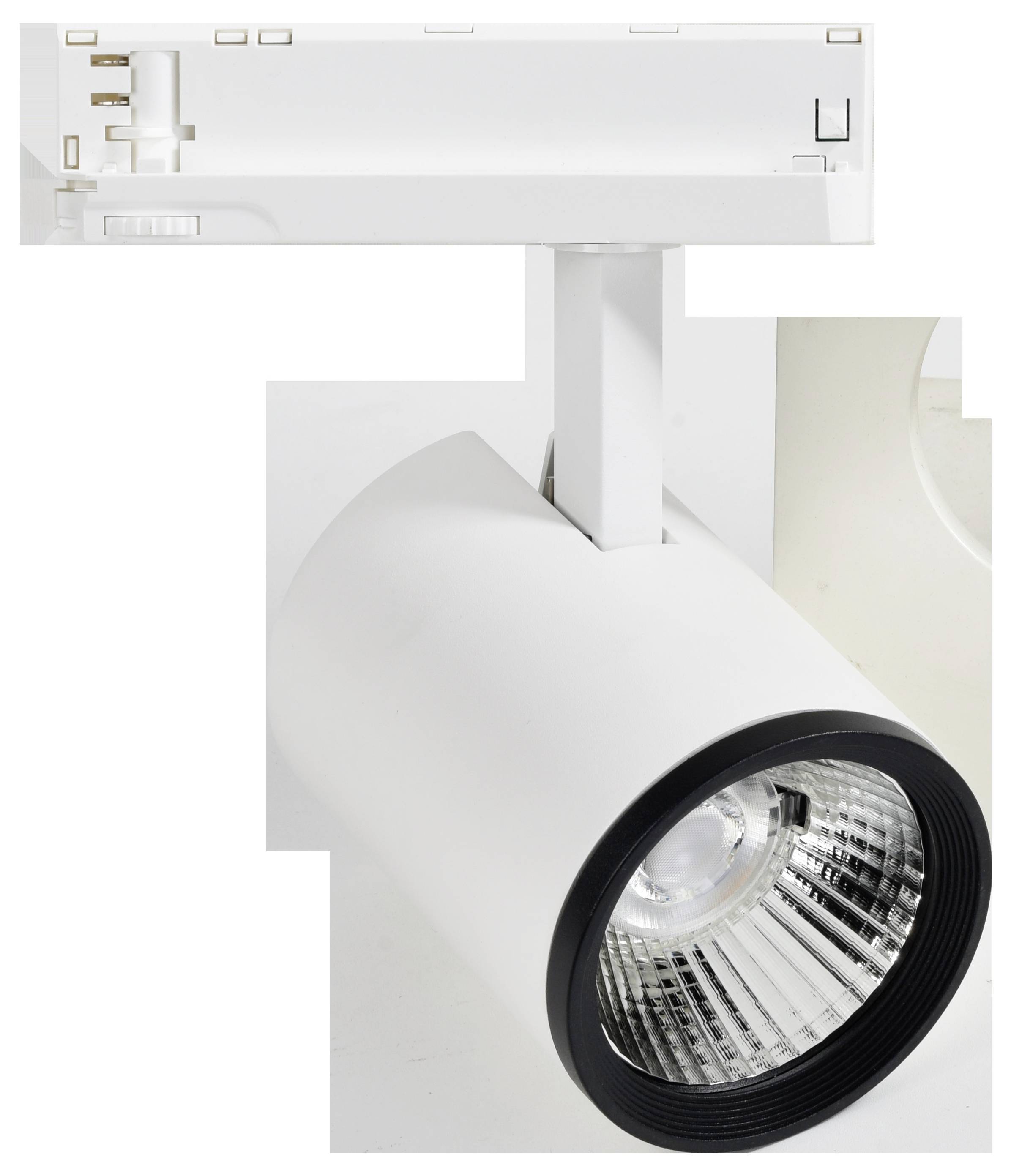 Weiße Schienenstrahler mit verstellbarem Spotlight und schwarzer Fassung, geeignet für moderne Innenräume.