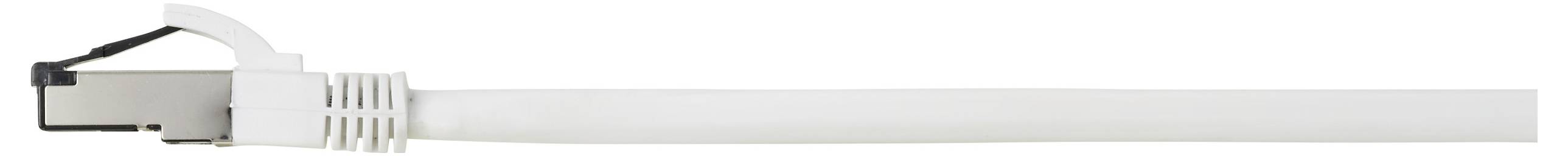 Ein weißes Ethernet-Kabel mit einem transparenten Stecker ist vor einem einfachen Hintergrund positioniert.