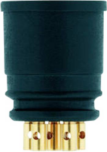 Escha 8008155 Sensor-/Aktor-Einbausteckverbinder Polzahl Sensoren: 4