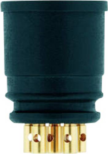 Escha 8008156 Sensor-/Aktor-Einbausteckverbinder Polzahl Sensoren: 5