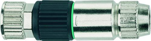 Escha 8019721 Sensor-/Aktor-Steckverbinder, unkonfektioniert Polzahl Sensoren: 3 1 St.
