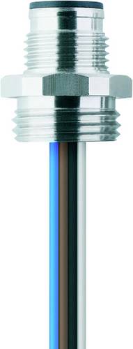 Escha 8027383 Flanschstecker 0.5 m Polzahl Sensoren: 4 1 St.