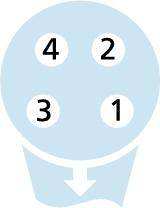 Escha 8043764 Sensor-/Aktor-Anschlussleitung 5.0m Polzahl Sensoren: 4 1St.