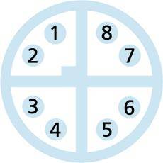 Escha 8053289 Verbindungsleitung 5.0m Polzahl Sensoren: 8 1St.