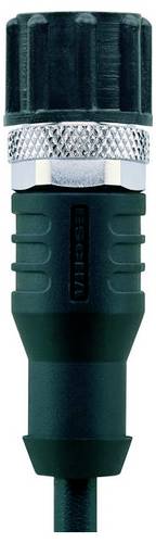 Escha 8081753 Sensor-/Aktor-Verschlusskappe 100 St.