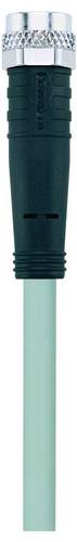 Escha 8059111 Sensor-/Aktor-Anschlussleitung 5.0 m Polzahl Sensoren: 3 1 St.