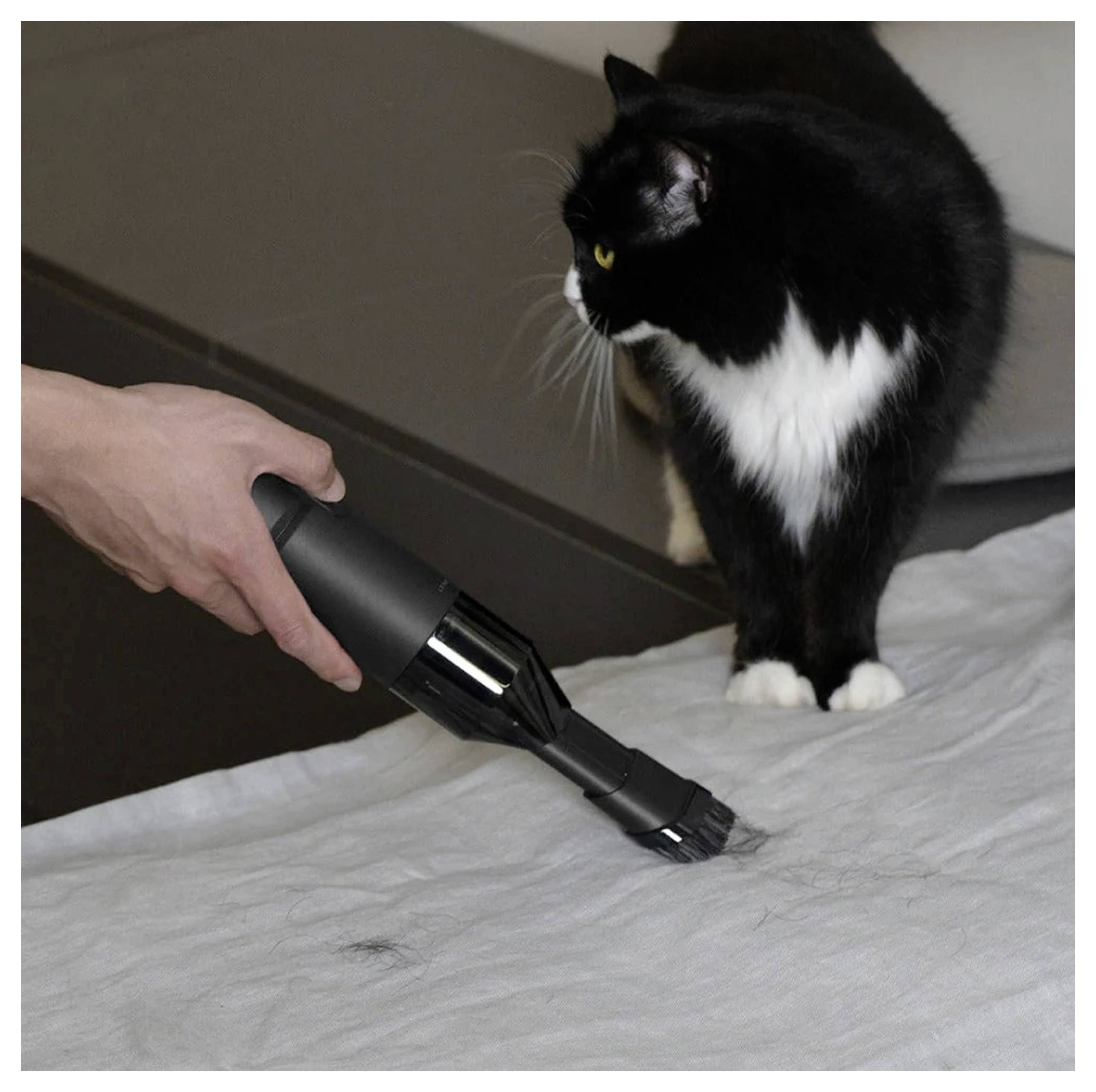 Eine Person benutzt einen tragbaren Staubsauger auf einem Bett und reinigt Tierhaare, während eine schwarz-weiße Katze in der Nähe zuschaut.