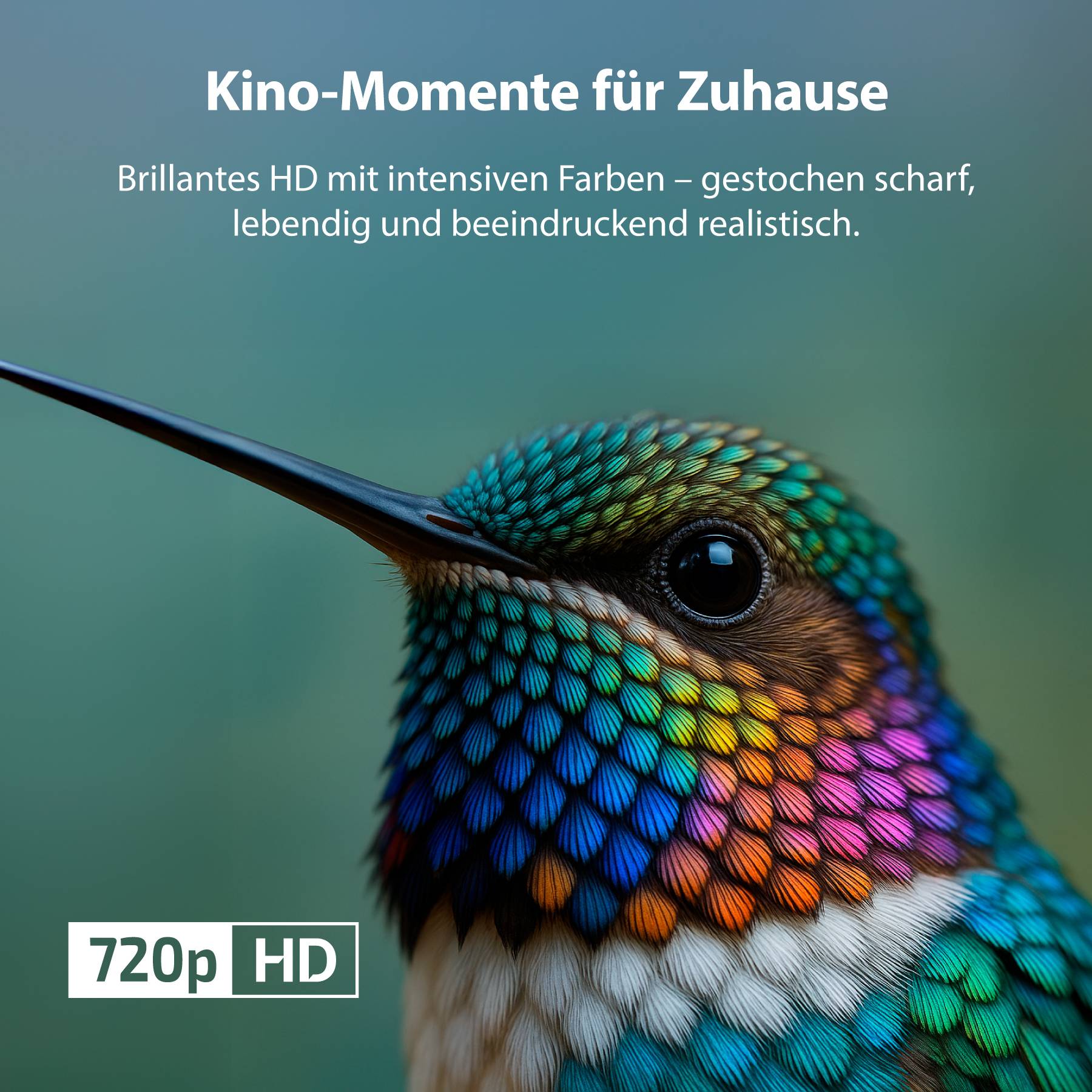 Ein Vogel mit buntem Gefieder steht im Fokus, umgeben von Text: 'Kino-Momente für Zuhause. Brillantes HD, gestochen scharf und lebendig.'