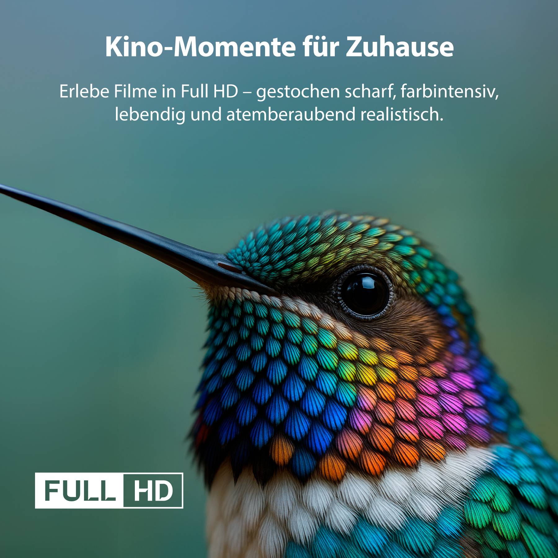 Einfache Werbung für Fernseher mit dem Slogan: Kino-Momente für Zuhause. Ein bunter Vogel symbolisiert die lebendige Bildqualität.