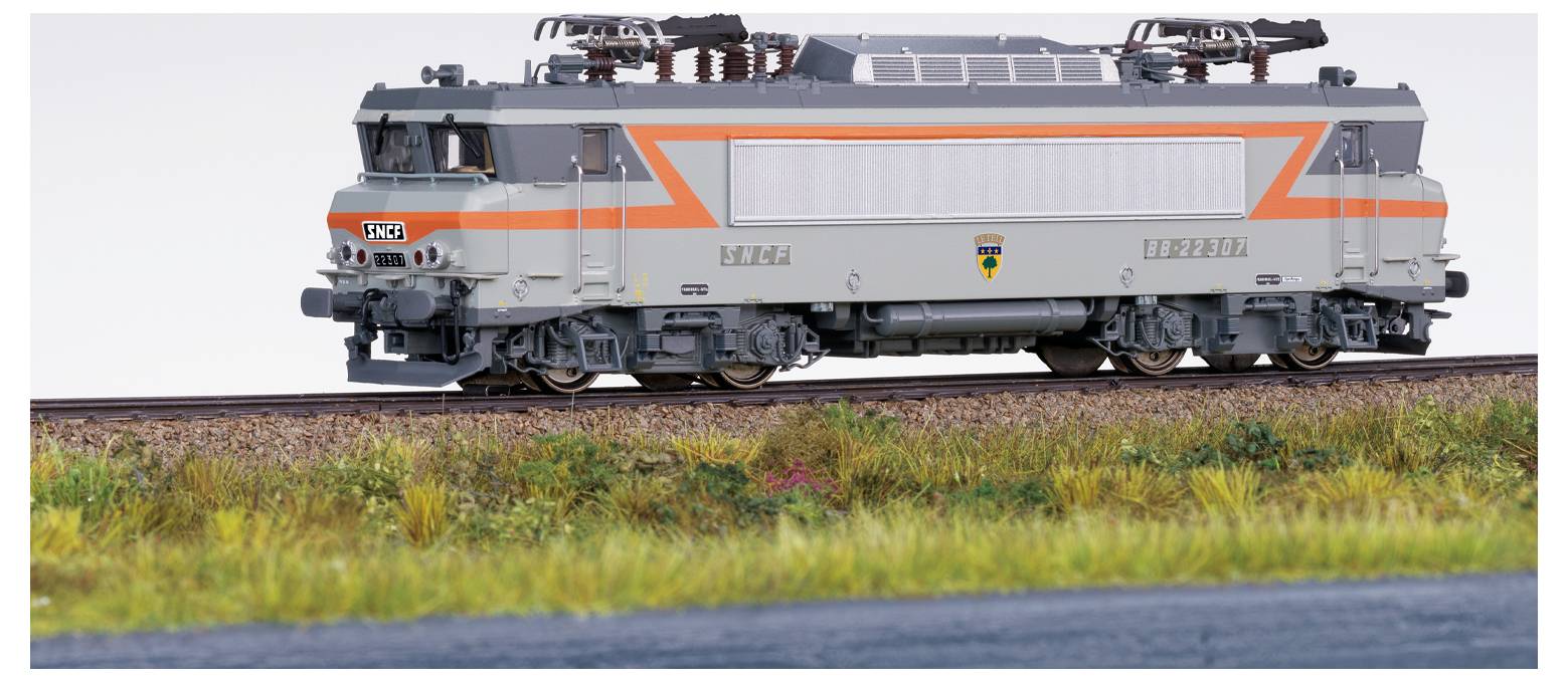 Ein Modelleisenbahn auf einer Strecke mit silber- und orangefarbener Gestaltung. Sie ist auf einer grasigen Landschaft mit einigen Blumen im Vordergrund platziert.