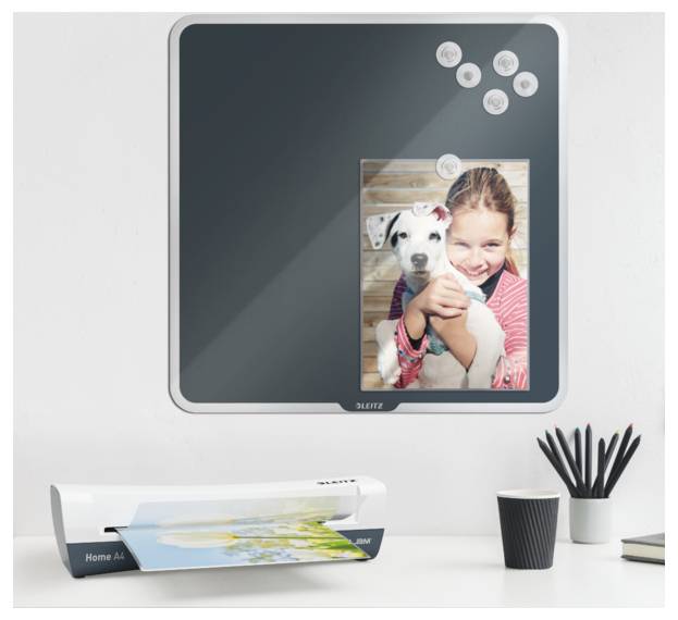 Ein junges Mädchen lächelt, während es einen Welpen hält, aufgenommen auf einem glänzenden Fotoabzug. Eine leere quadratische Pinnwand mit Magneten ist darüber angebracht.