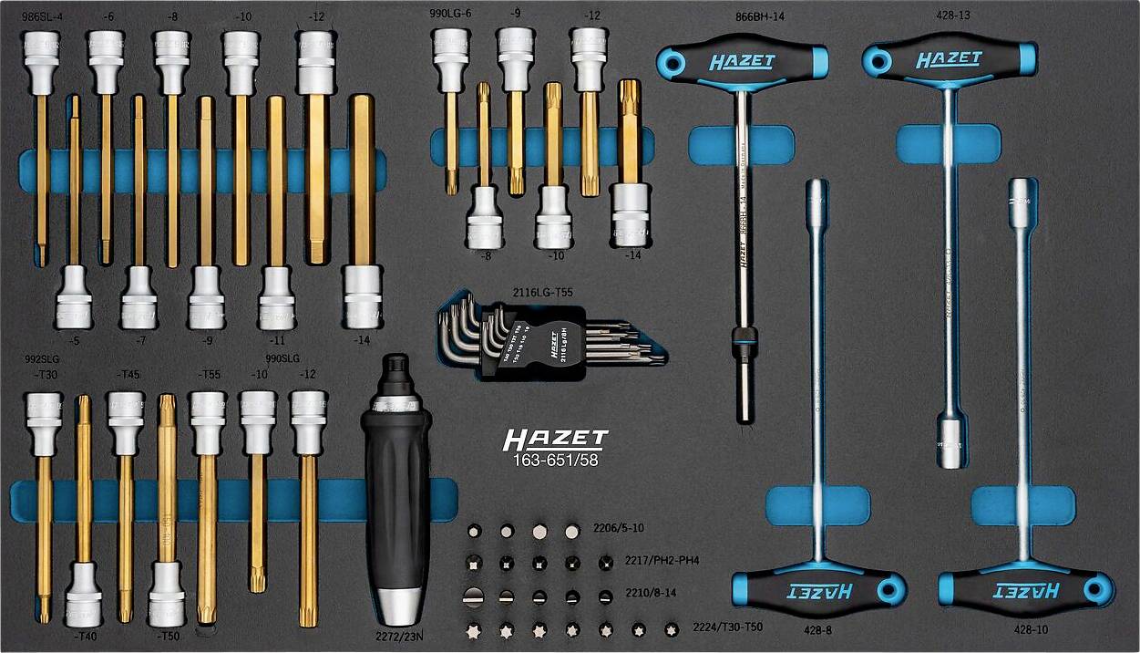 Ein Werkzeugkasten mit verschiedenen Schraubenziehern, Sechskantschlüsseln und Bits, ordentlich angeordnet, wobei die Marke 'Hazet' auf einigen Werkzeugen zu sehen ist.
