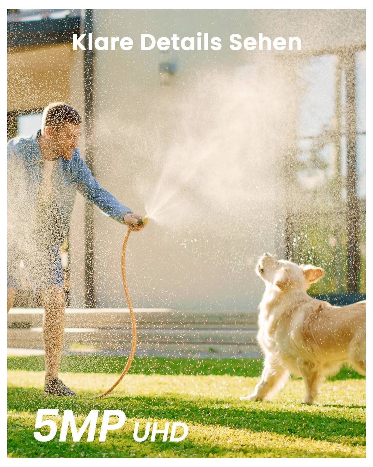 Ein Mensch, der mit einem Gartenschlauch Wasser auf einen Hund im Freien spritzt, mit dem Text 