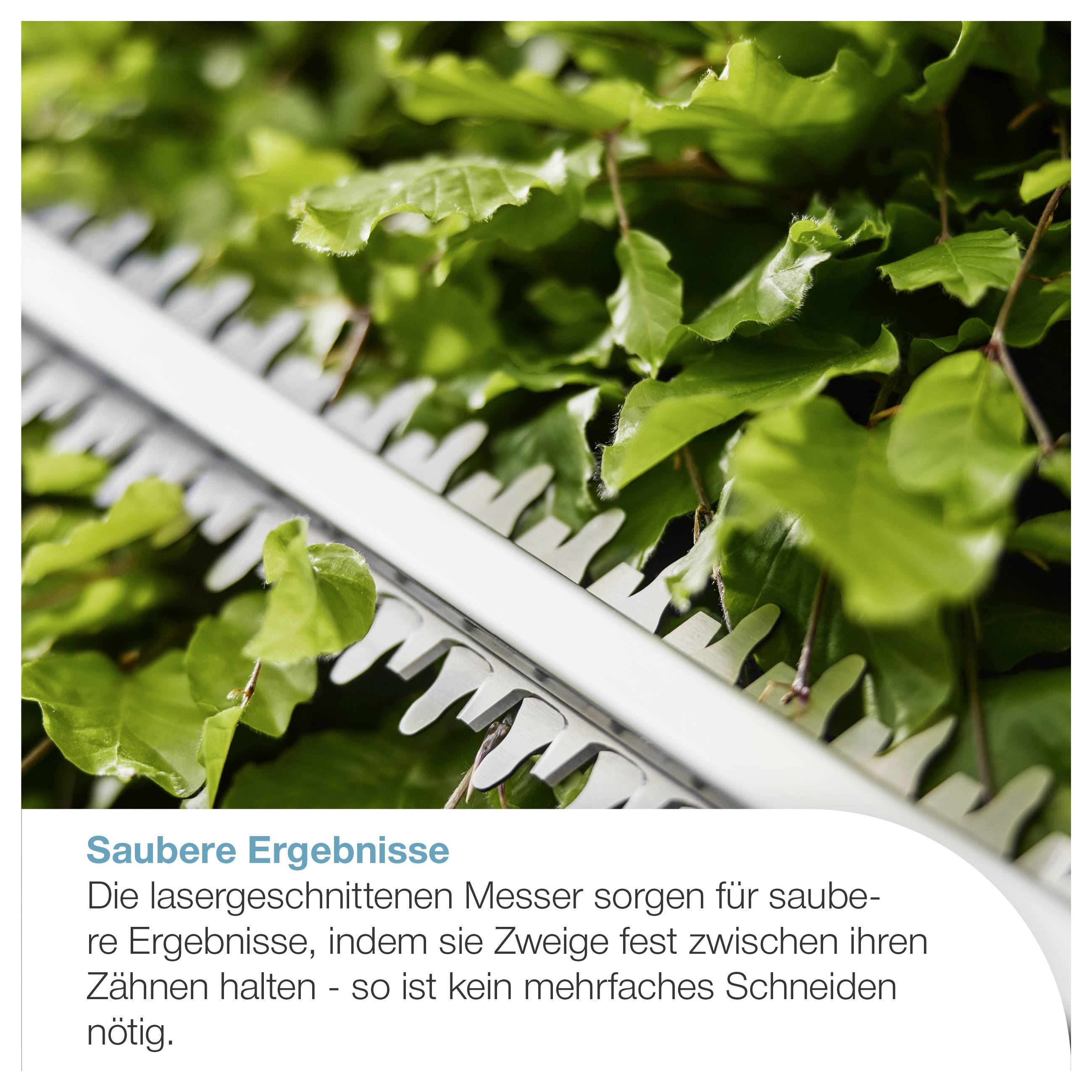 Nahaufnahme eines Heckenschneiders mit lasergeschnittenen Messern beim Schneiden grüner Blätter; Text: 'Saubere Ergebnisse' und Hinweis auf saubere Schnitte ohne Mehrfachschneiden.