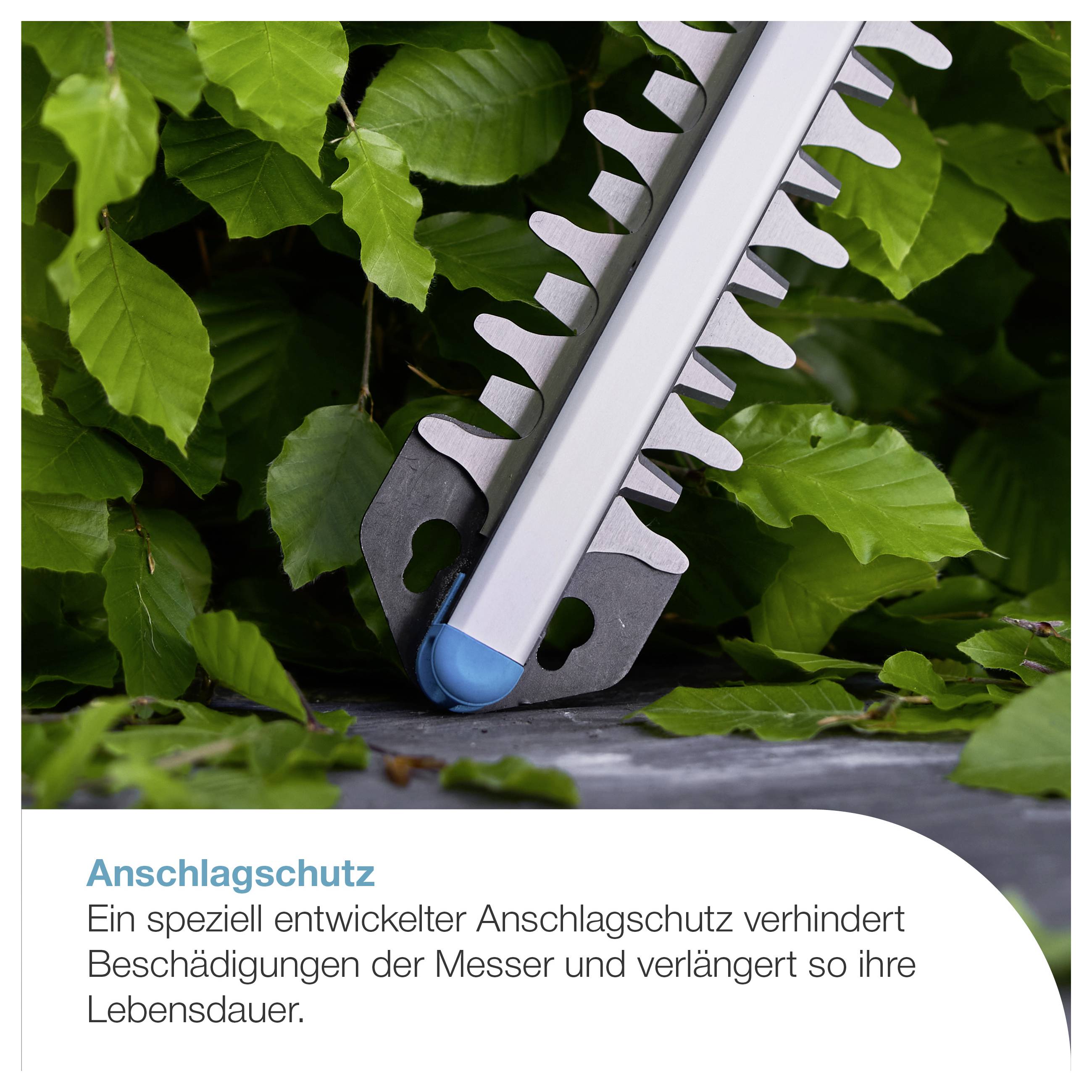 Heckenschere mit Anschlagschutz zwischen grünen Blättern; Text erklärt, dass er Messer vor Schäden schützt und ihre Lebensdauer verlängert.