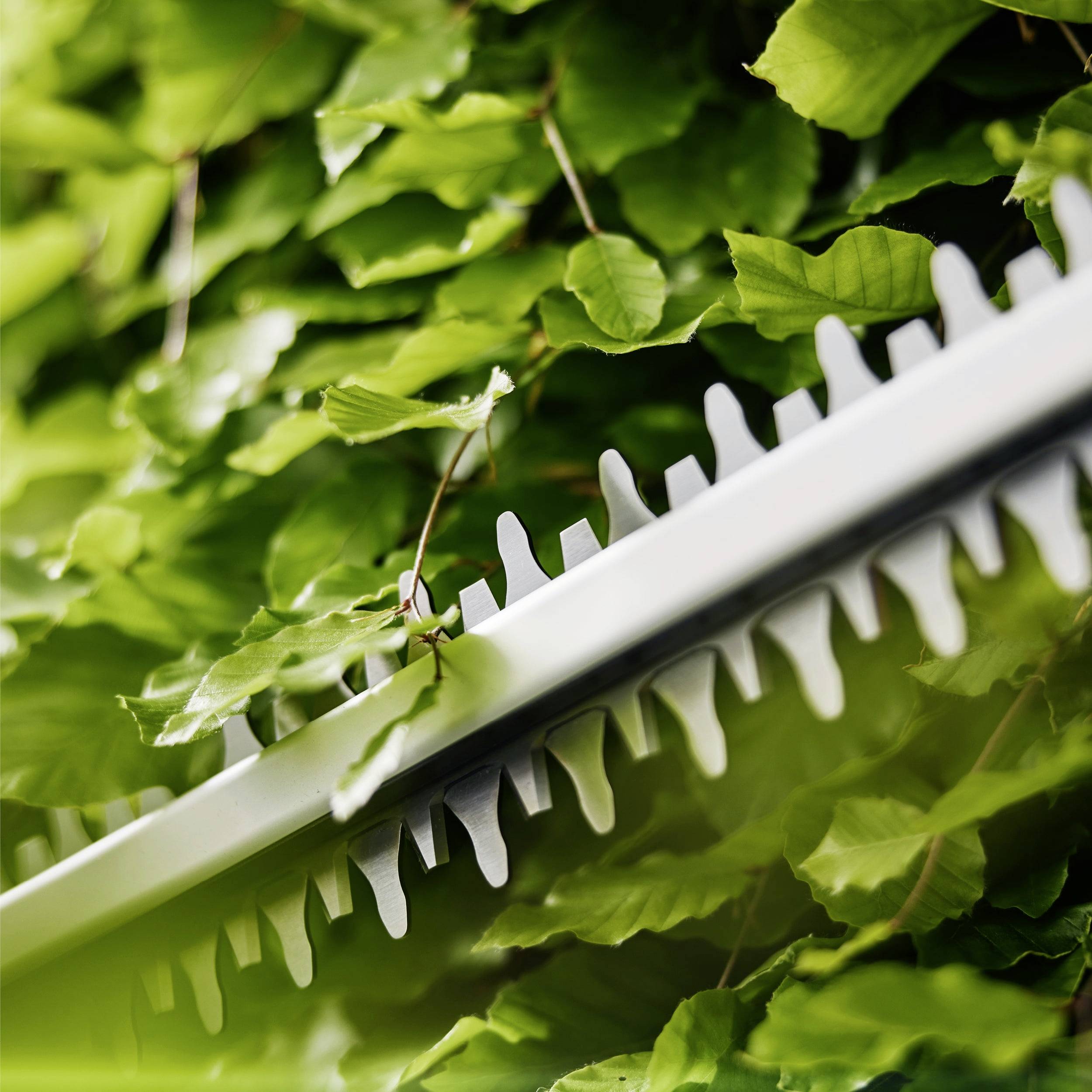 Eine Heckenschere, die durch dichte grüne Blätter schneidet und die Gartenpflege und Werkzeugeffektivität hervorhebt.