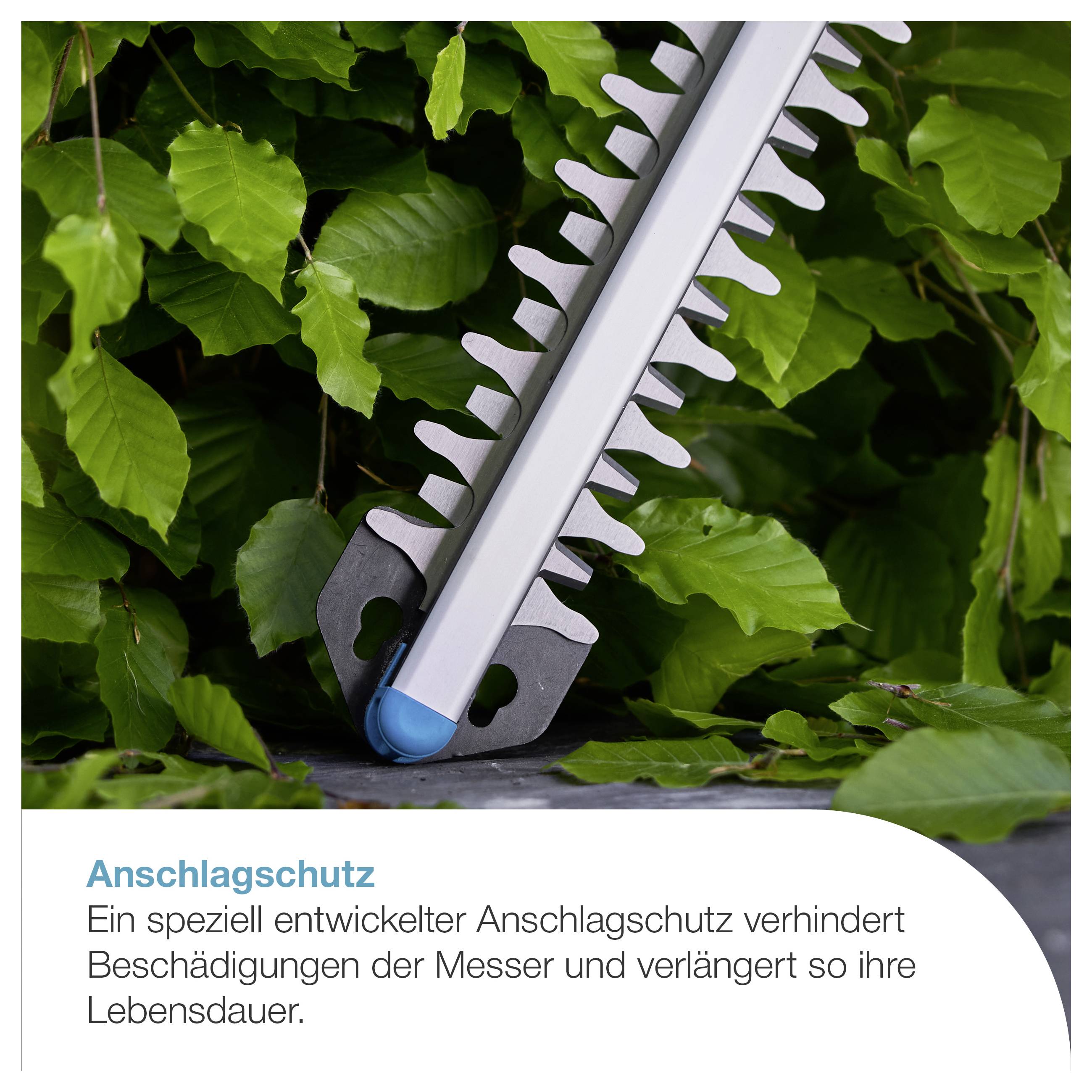 Nahaufnahme eines Heckenschneide-Messers mit Anschlagschutz vor grünem Blattwerk; verhindert Messerbeschädigungen und verlängert die Lebensdauer.