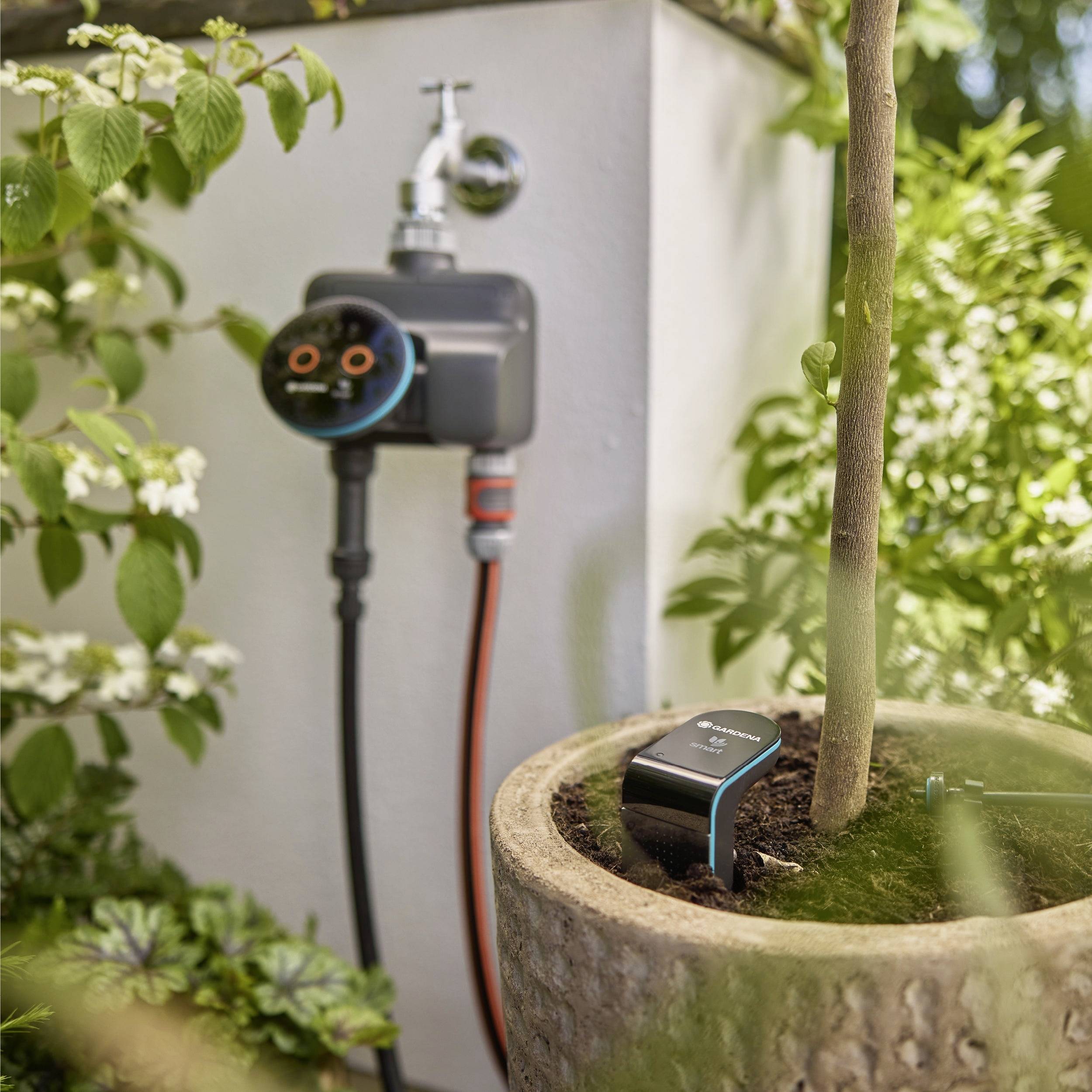 Ein intelligentes Bewässerungssystem, das an einen Gartenschlauch angeschlossen ist, bewässert einen Topfbaum und veranschaulicht ein effizientes Wassermanagement.