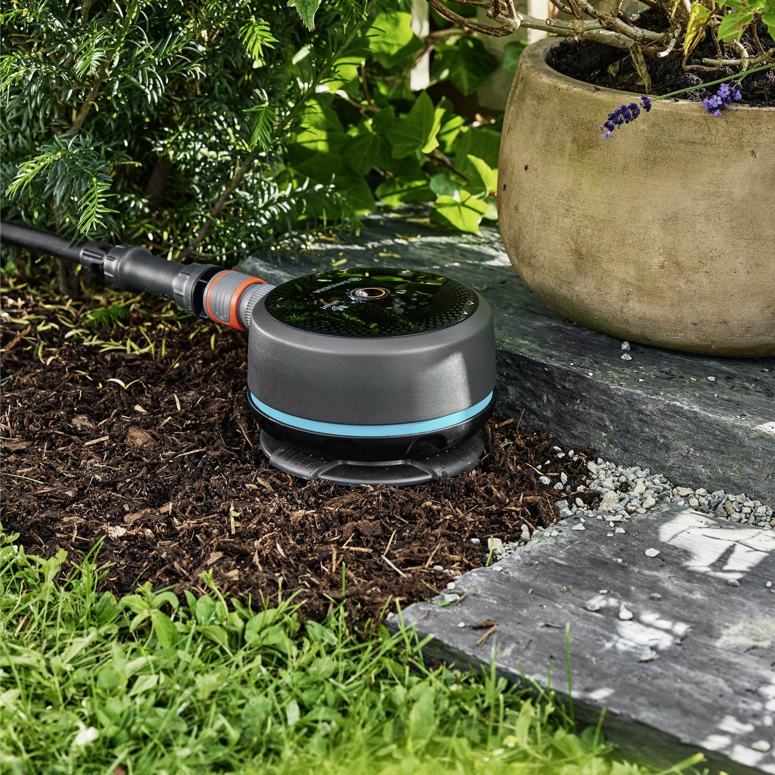 Ein robotisches Gartengerät bewässert Pflanzen neben einem Topfstrauch auf einem Steinweg. Das Gerät ist klein, rund und schwarz mit einem angeschlossenen Wasserschlauch.