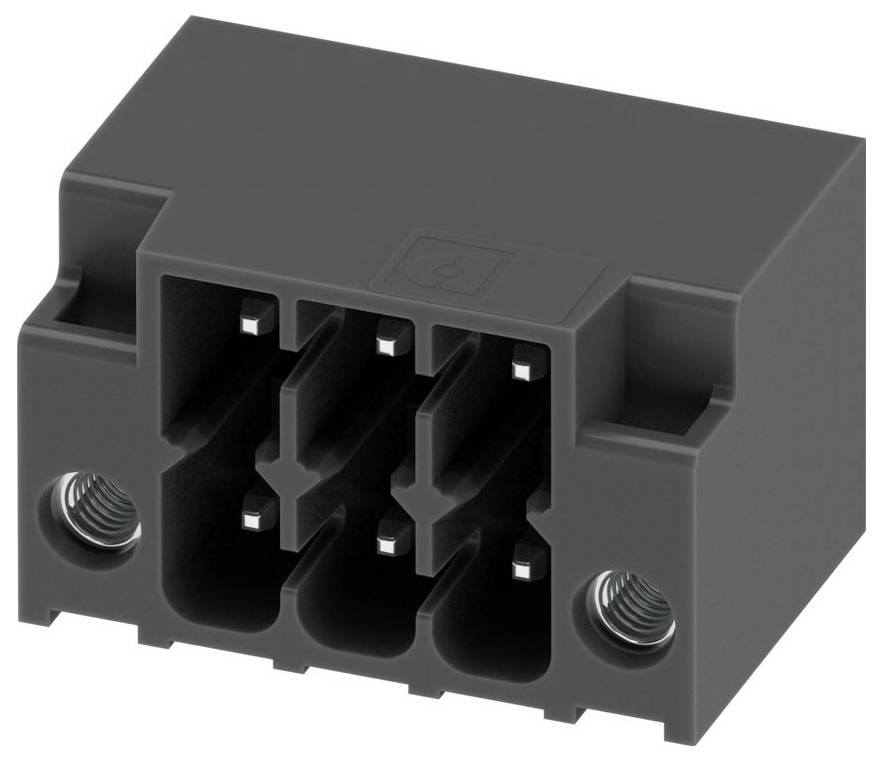 Ein schwarzer rechteckiger Elektrostecker mit sechs Steckplätzen für Stifte, mit zwei Gewindelöchern auf jeder Seite zur sicheren Befestigung.