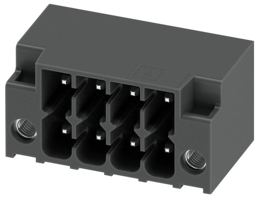 Ein schwarzer Elektrostecker mit mehreren Kontakten und zwei Schraubenlöchern zur Befestigung in einem elektronischen Gerät.