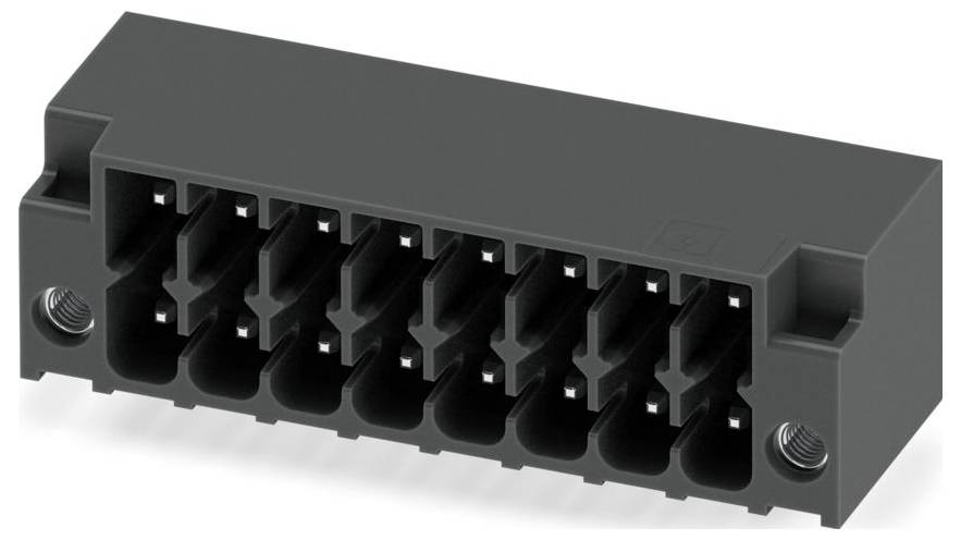 Ein schwarzer, rechteckiger Elektrostecker mit zwei vertikalen metallischen Stiften im Inneren, der für sichere elektrische Verbindungen verwendet wird.