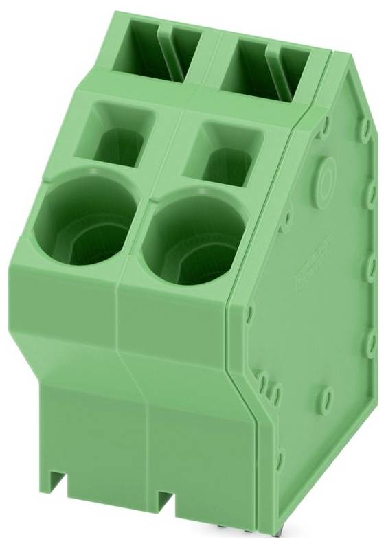 Ein grüner elektrischer Anschlussblock mit zwei kreisförmigen Steckplätzen und rechteckiger Form.