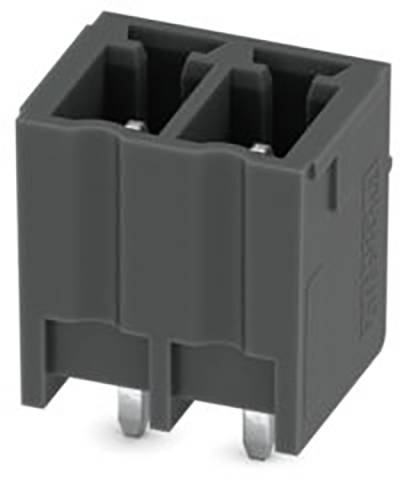 Ein grauer, zweipoliger Elektrostecker mit Metallkontakten, der zum Verbinden von Stromkreisen verwendet wird.