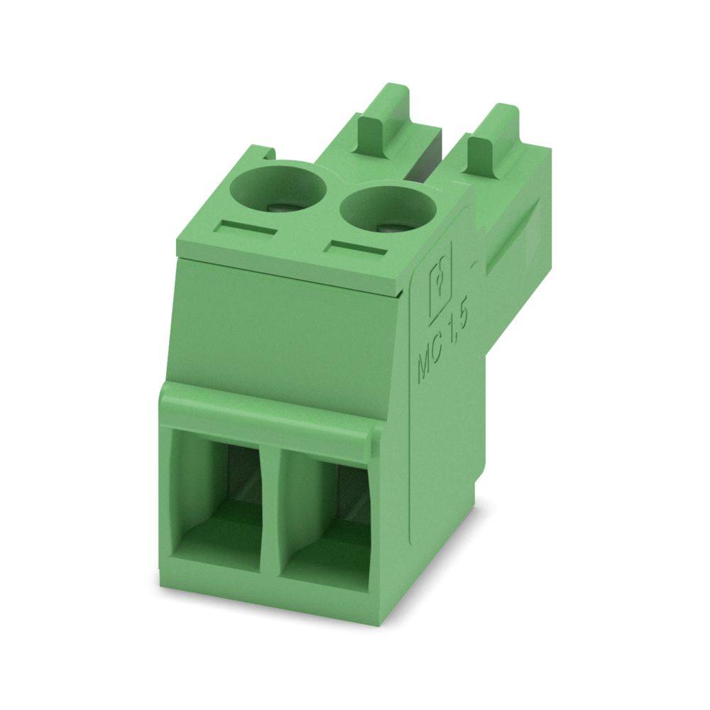 Grüner zweipoliger Elektroklemmenblock mit kleiner 