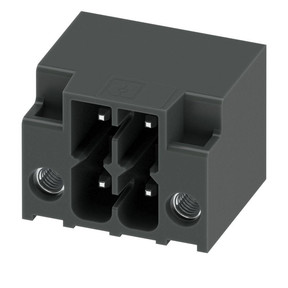 Eine schwarze, rechteckige elektrische Komponente mit drei vertikalen Schlitzen und zwei Schraubenlöchern am unteren Ende.